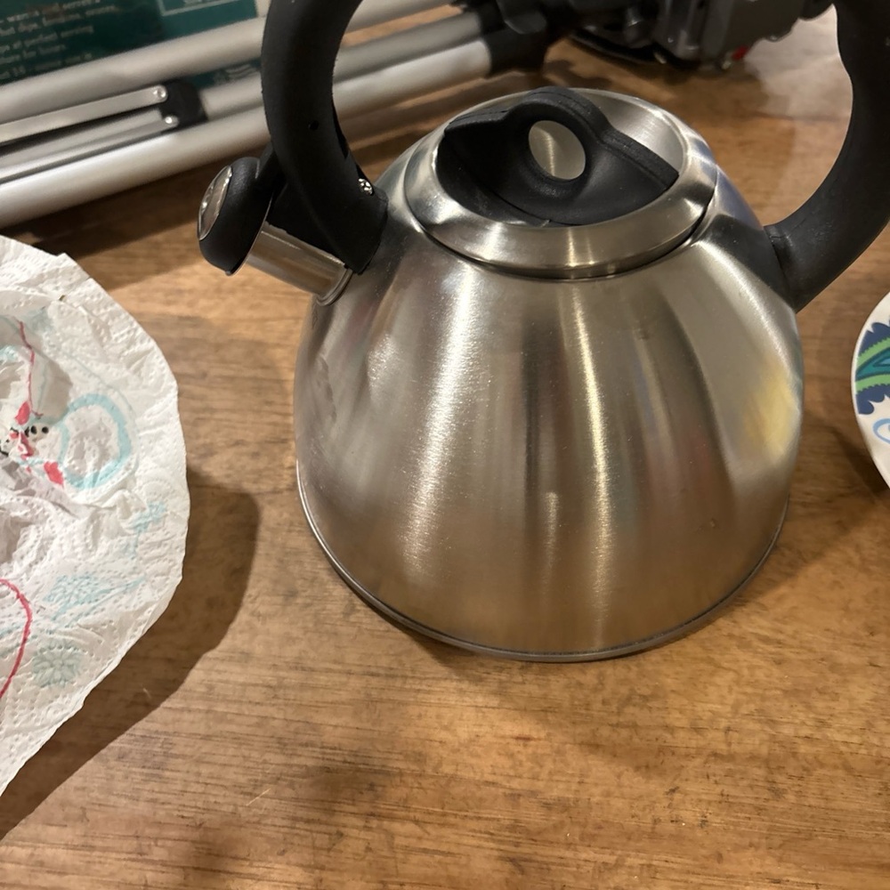 Sleek Silver Stainless Steel Tea Kettle with Curved Spout